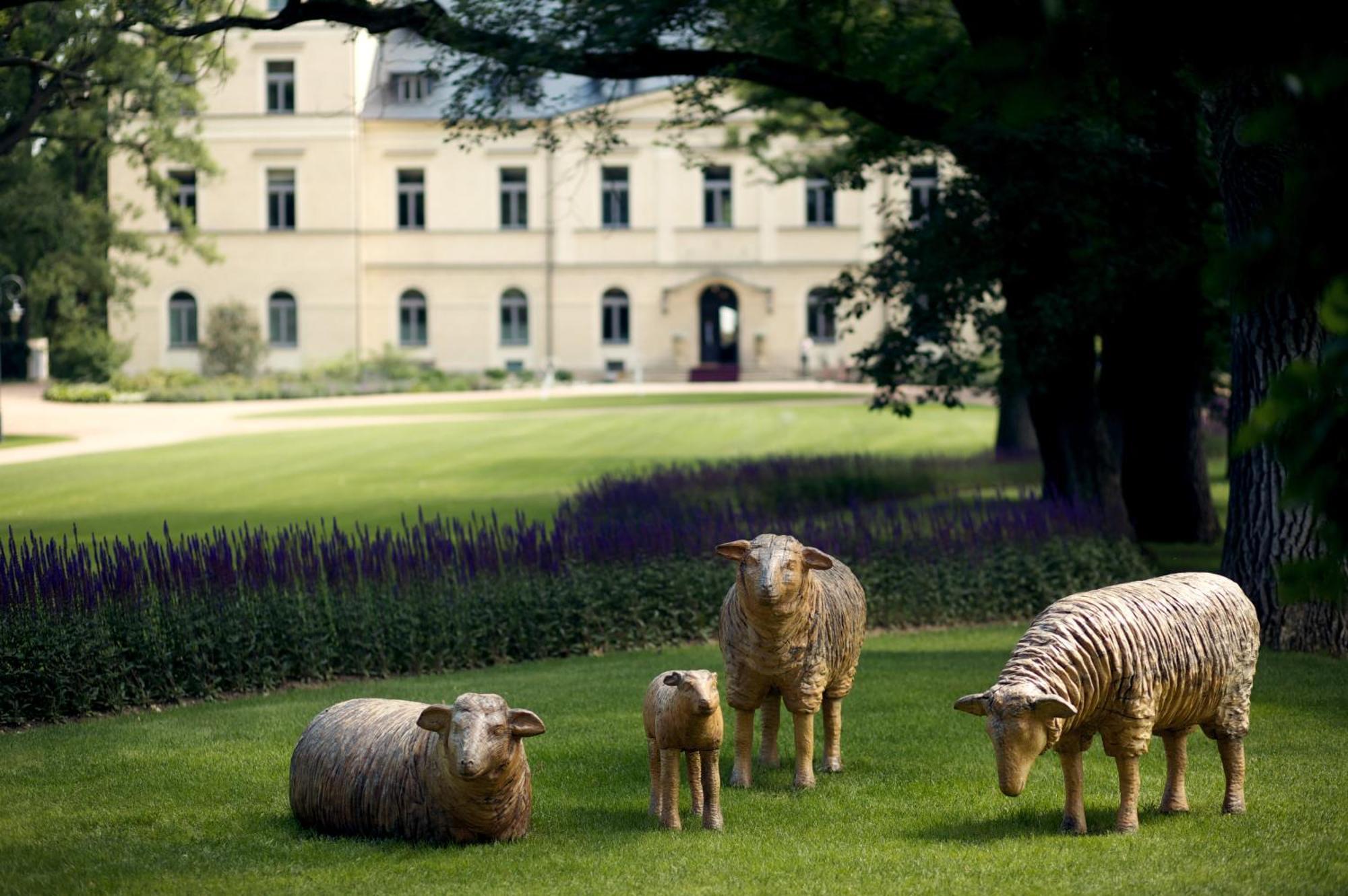 Chateau Mcely Extérieur photo