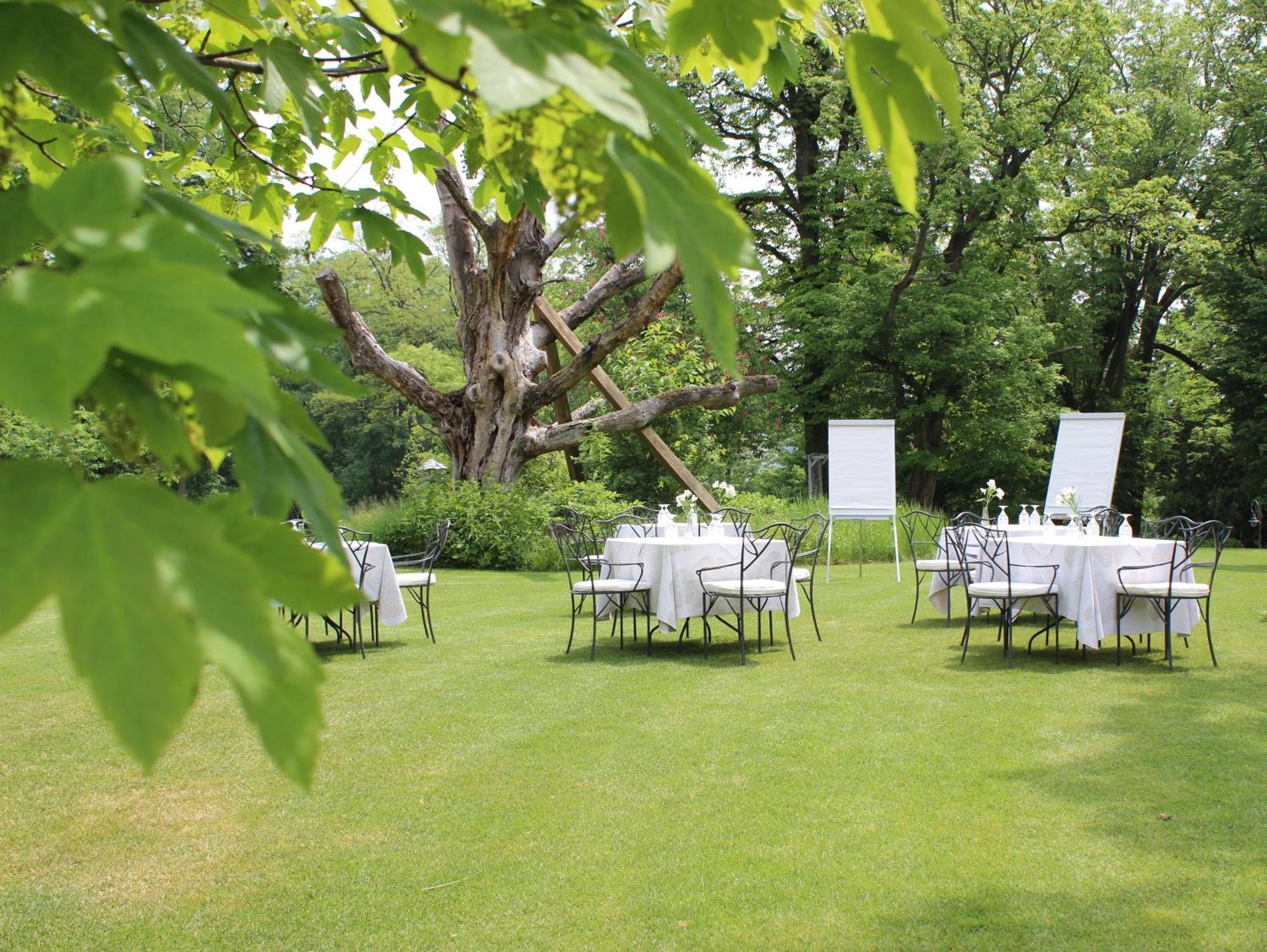 Chateau Mcely Extérieur photo